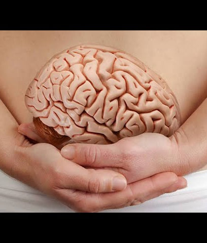 Talk santé : l'intestin, le deuxième cerveau du corps humain avec Didier - Respire