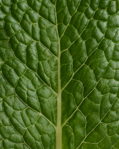 Ricarica Desodorante stick Menthe Eucalyptus