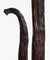 Déodorant stick Vanille Tonka